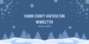 January Newsletter