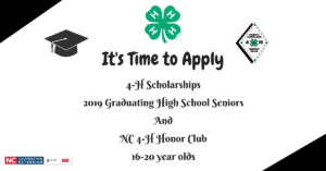 Cover photo for It's Time to Apply for 4-H Scholarship and Honor Club