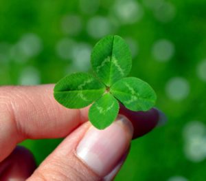 Cover photo for March Yadkin County 4-H Newsletter!