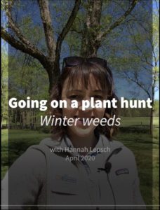 Cover photo for Going on a Plant Hunt - Weeds