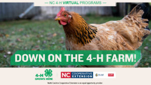 graphic with chicken and text: Down on the 4-H Farm