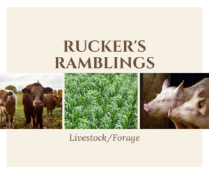 Cover photo for May Update - Rucker Ramblings