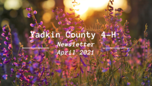 Cover photo for Yadkin County 4-H Newsletter - April Edition