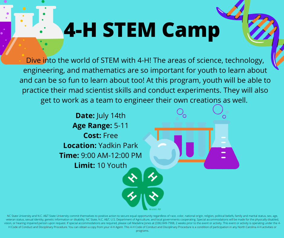 4-H STEM Camp