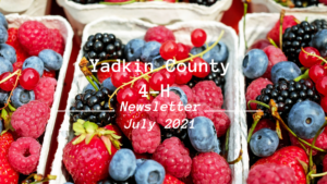Cover photo for Yadkin County 4-H July Newsletter Is In!