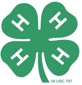 4-H Clover