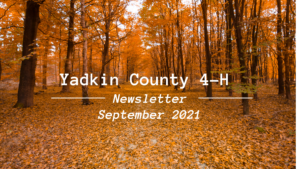 Fall Background