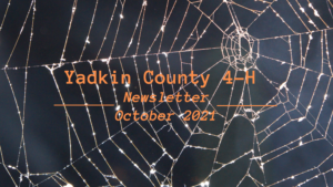 Title of newsletter which states, "Yadkin County 4-H Newsletter October 2021" with spider webs as spooky background.