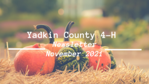 Pumpkins and the words (Yadkin County 4-H Newsletter-November 2021)