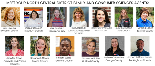 Picture of each North Central Family and Consumer Science Agent participating.
