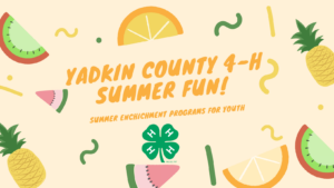 Yadkin County Summer Fun