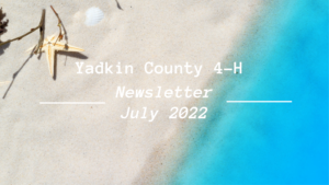 Yadkin County 4-H July Newsletter cover with a beach in the background.