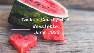 Yadkin County 4-H Newsletter-June Edition Cover with Watermelons on it.
