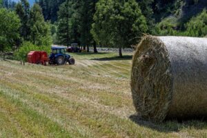 Hay Field