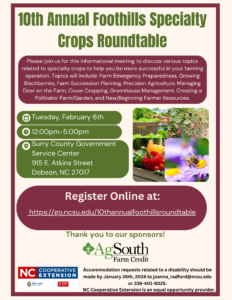 2024 roundtable flyer