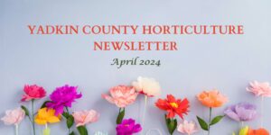 Cover photo for Yadkin County Horticulture Newsletter-April 2024