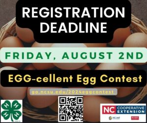 Cover photo for Egg-Cellent Egg Contest