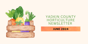 Cover photo for Yadkin County Horticulture Newsletter-June2024