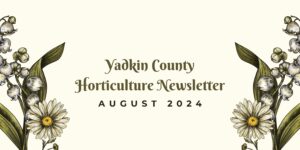 Cover photo for Yadkin County Horticulture Newsletter-August 2024