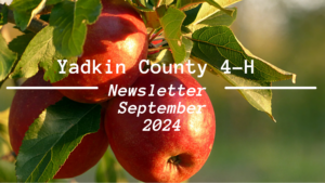 Newsletter Cover-September Newsletter