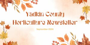 Cover photo for Yadkin County Horticulture Newsletter-September 2024