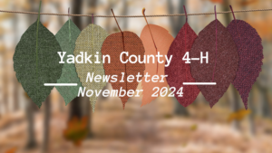 November Newsletter