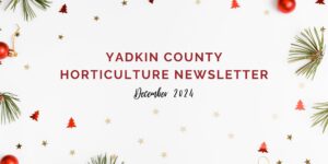 December Horticulture Newsletter Cover