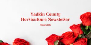 Cover photo for Yadkin County Horticulture Newsletter-February 2025