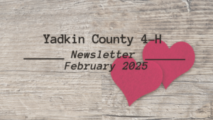 Feb Newsletter