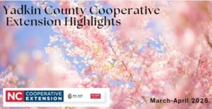 Yadkin County Cooperative Extension Highlights- January-February 2025 Spring (Flowers in Bloom)