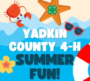 Yadkin County 4-H Summer FUN