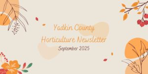 September Hort Newsletter